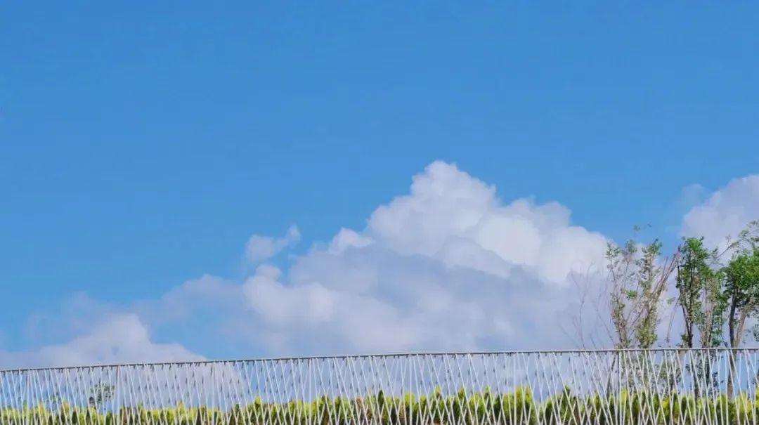 6558758_6f73186d-3e7c-4e80-a2dc-d3bdc0d548df.jpg